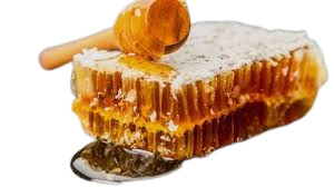 jonofmm removebg preview