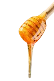 jonof images removebg preview